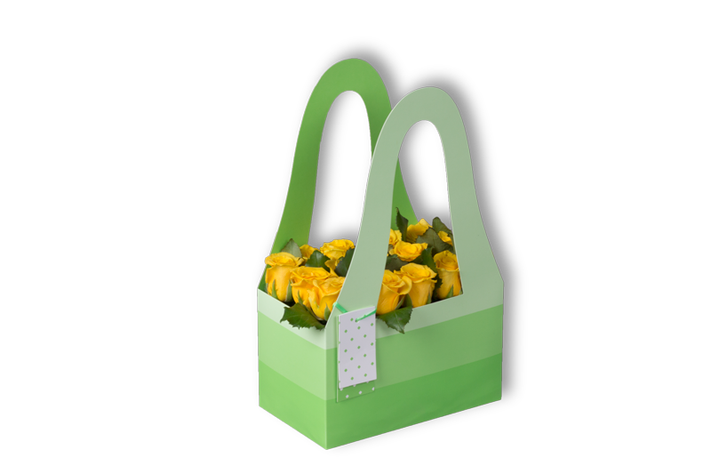 بوكس ريجينا