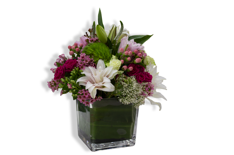 فازة بينك سولت 