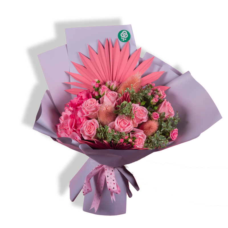 بويكه فيوليت