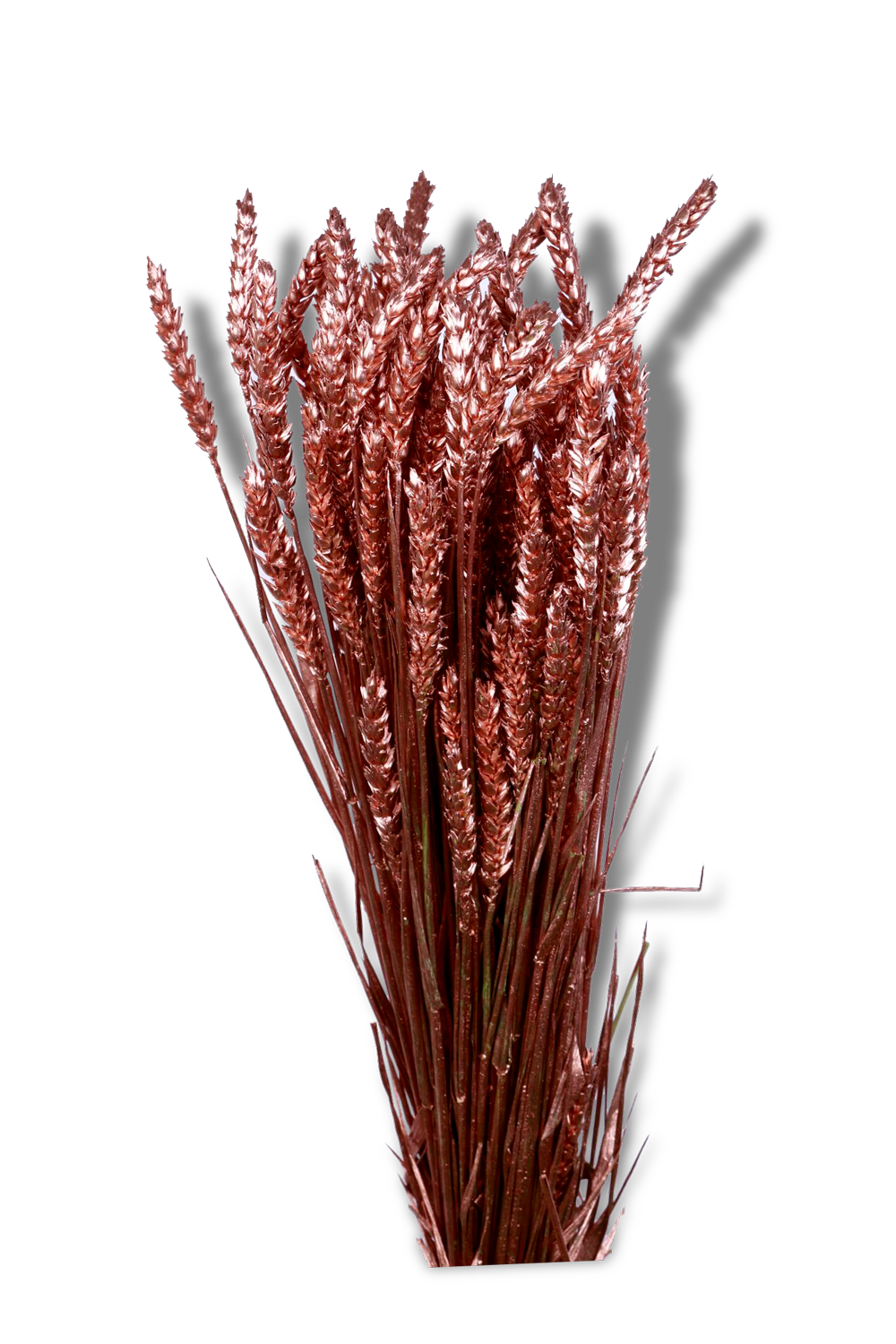 سنابل نحاسي